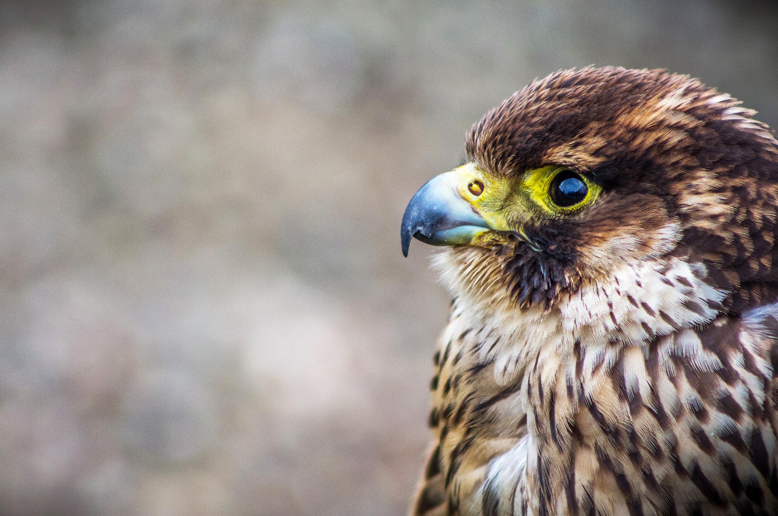 Read more about the article Investment Roundup – Apr 14